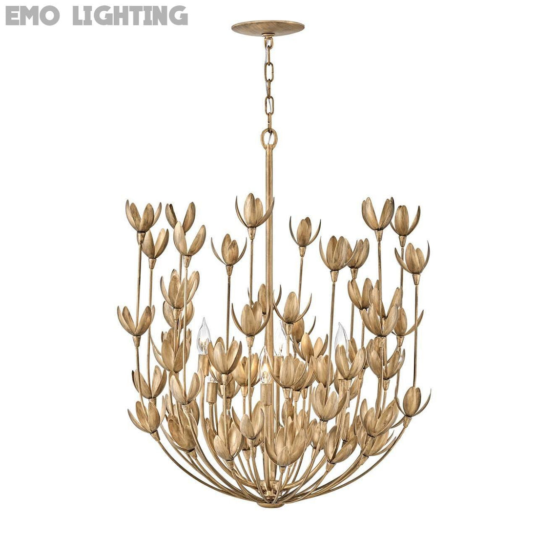 https://www.1800lighting.com/dw/image/v2/BCFP_PRD/on/demandware.static/-/Sites-masterCatalog_capitollighting/default/dwb8d0dab8/images/original/Hinkley-Lighting_30016bng_4.jpg?sw=800&sh=800&sm=fit
